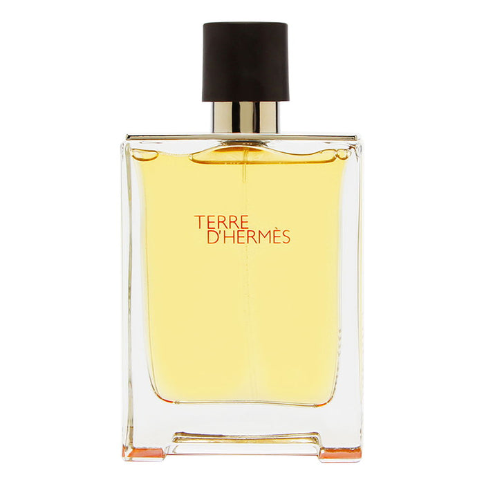 Hermes Terre Dhermes 3.3oz Men EDT Spray Tester