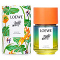 Loewe Paula's Ibiza Ecletic 3.4oz Unisex EDT Spray